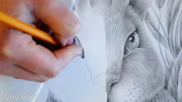 Как нарисовать кролика или ЗАЙЦА простым карандашом. Часть 3. Подробный урок по графике. смотреть онлайн