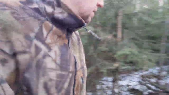 ЗАБРОШЕННОЕ ПОЛЕ ЗЕМЛИ СЕЛЬХОЗНАЗНАЧЕНИЯ ЗАРАСТАЕТ ДЕРЕВЬЯМИ смотреть онлайн