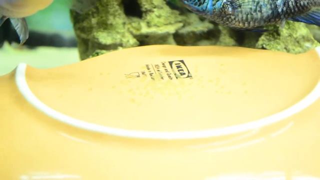 Наннакара нерест смотреть онлайн