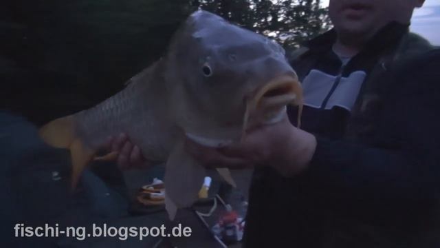 Рыбалка в Германии 23 Ловля крупного карпа на бойлы - Fishing For Big Carp смотреть онлайн