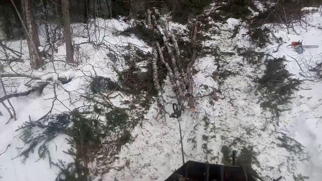 Делянка завершена. смотреть онлайн