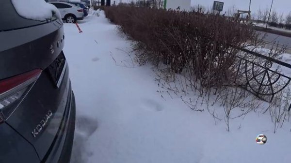 SKODA KODIAQ FL 2022 Первое знакомство