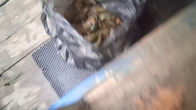 VID_20240903_191409.mp4