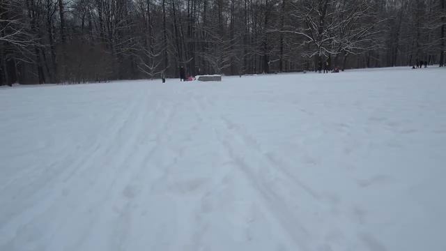 VID 20180120 Удельный парк суббота.4 смотреть онлайн