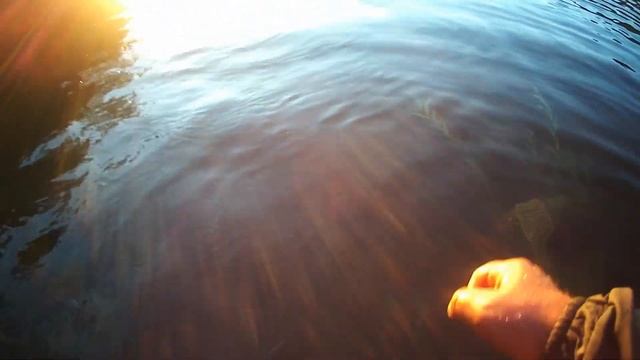 Старинный вид рыбалки/ РЫБАЛКА НА КОРЧАГУ*РЫБАЛКУ НА МОРДУ*ЛОВИМ ПЛОТВУ (ЕЛЬЦА) смотреть онлайн