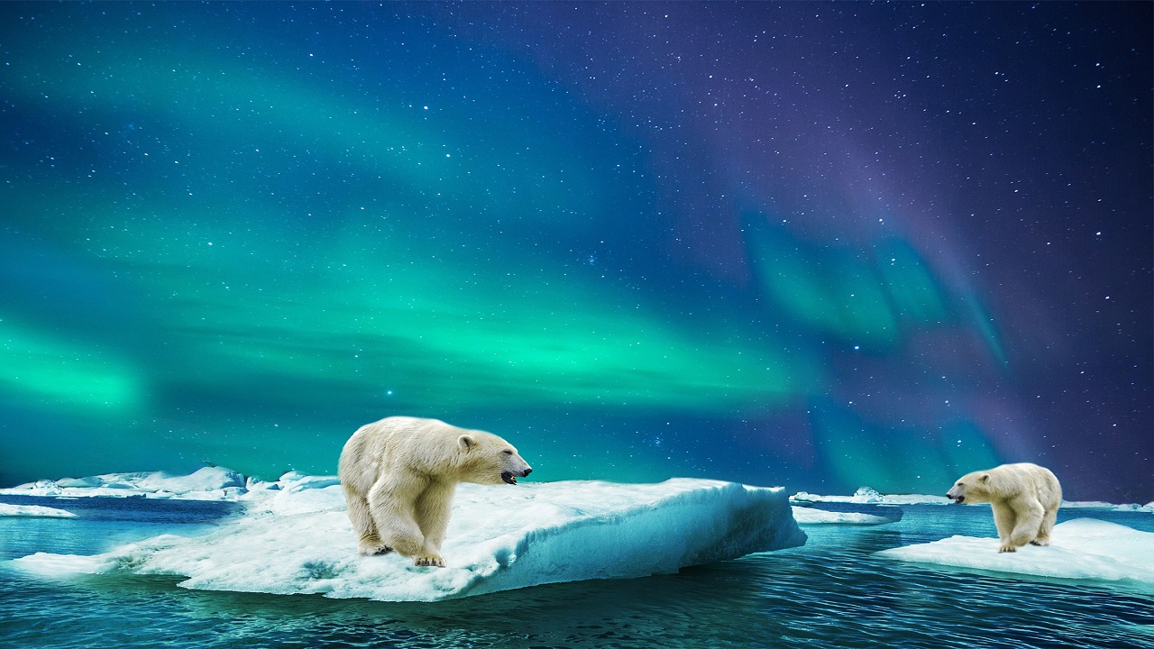 Aurora Borealis. Best playlist. смотреть онлайн