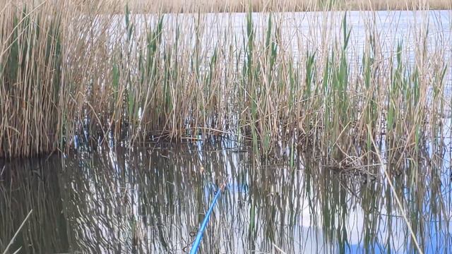 Первая рыбалка 2022 по открытой воде смотреть онлайн