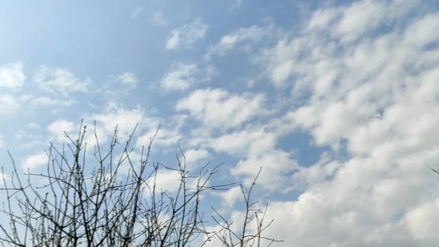 Приметы на свой день рождения. Что нужно делать, чтобы год был счастливым? смотреть онлайн