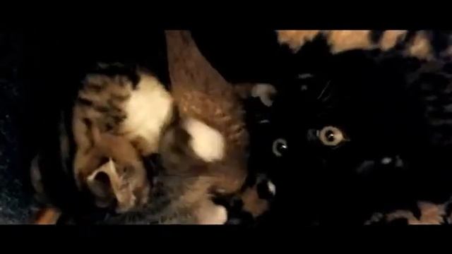 Ритуал На привлечение Удачи! смотреть онлайн