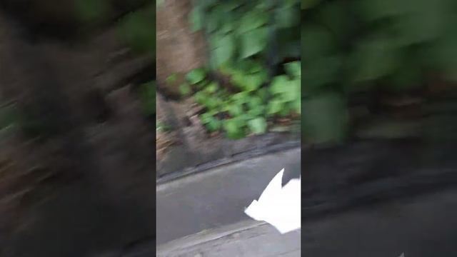 Чистка фар часть 1 смотреть онлайн