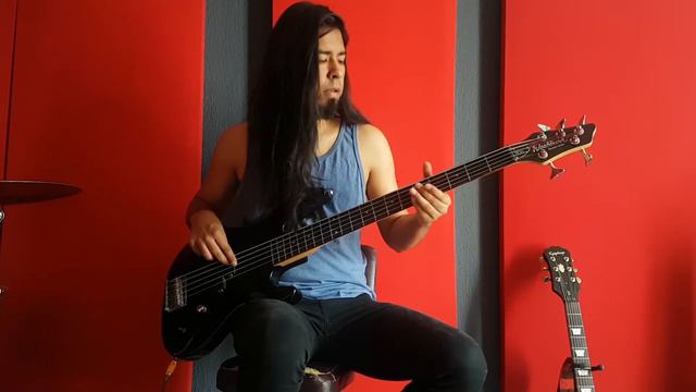 Hysteria Muse | Bass Cover смотреть онлайн