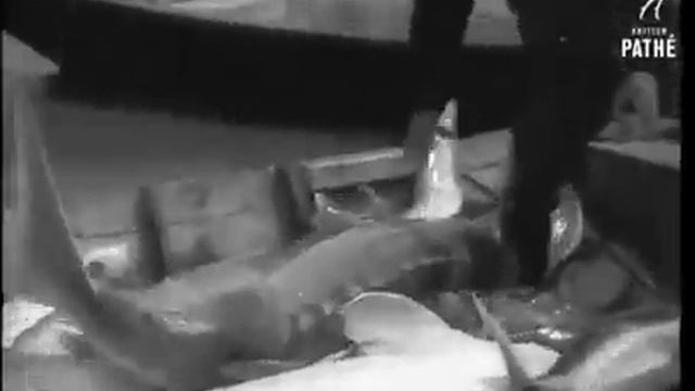 Рыбный промысел времен СССР смотреть онлайн