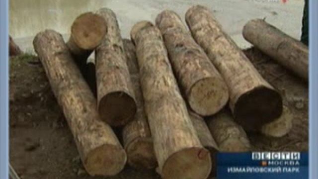 Репортаж о восстановлении круглого пруда в Измайловском парк