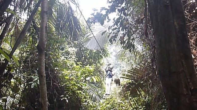 Зов Джунглей Паттайя 31 марта 2016 смотреть онлайн