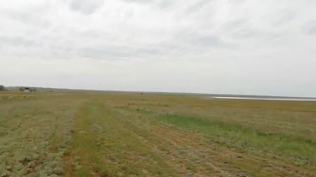 Ставропольский БАОБАБ