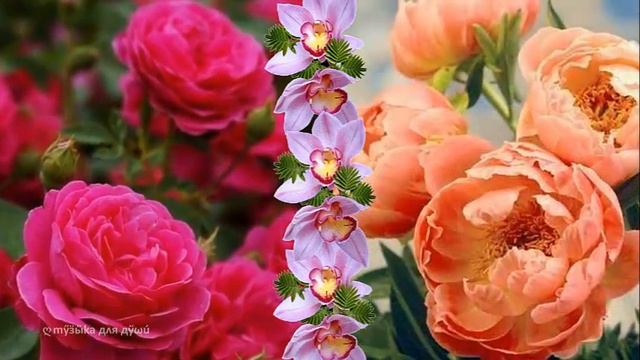 Чудесная музыка для души ✿ Красивые цветы и цветочное настроение смотреть онлайн