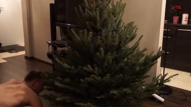 Выбираем, ставим и украшаем НОВОГОДНЮЮ ЁЛКУ смотреть онлайн