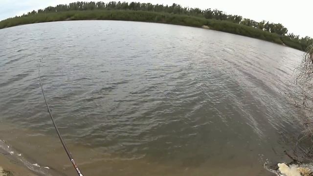 Рыбалка на реке Ахтуба Астраханская обл.(Дневник рыболова) смотреть онлайн