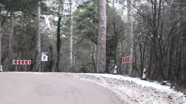 Гигантская сосна великан у водопада Учан-Су смотреть онлайн