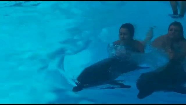 Такой Фантастической Алушты вы еще не видели ч.3 Путешествия в Крым на Subaru смотреть онлайн