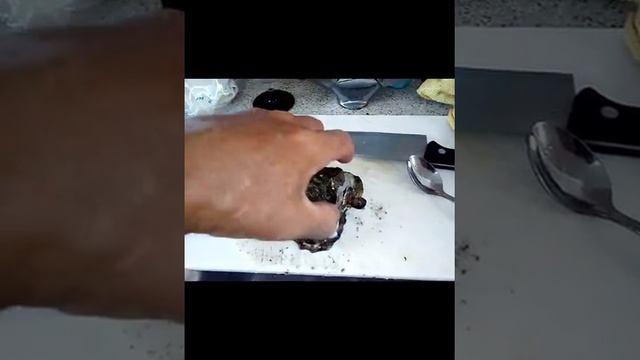 Дегустация черноморской устрицы смотреть онлайн