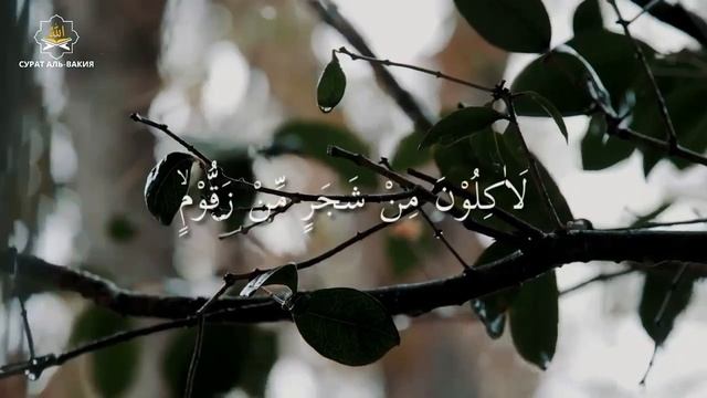 Клянусь Аллахом, читайте этот зикр в любое время суток Вы станете богатым смотреть онлайн