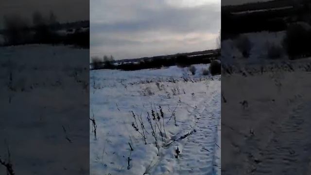 снегоход минск в движение ! смотреть онлайн