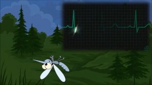 Песня про комара