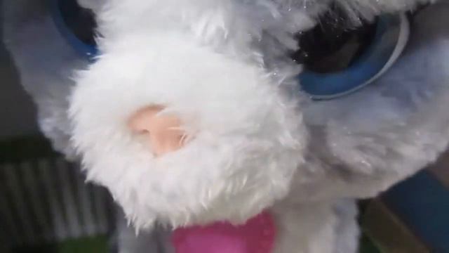 Необычные игрушки Говорящяя КОШКА мурлычет как настоящая смотреть онлайн