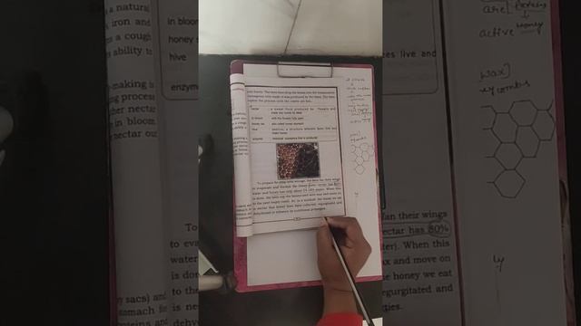 6th standard English unit-3, How do bees make honey? (part-2) смотреть онлайн