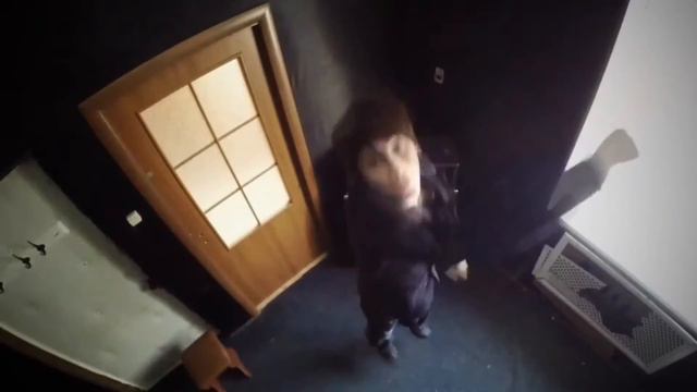 Дружок смотреть онлайн