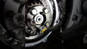 Не совпадают метки ТНВД VP44-ZD30