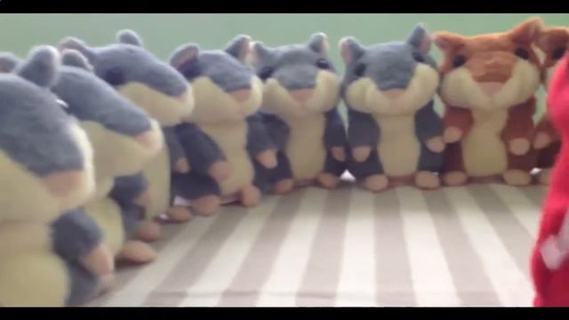 Говорящий хомяк ютуб смотреть онлайн