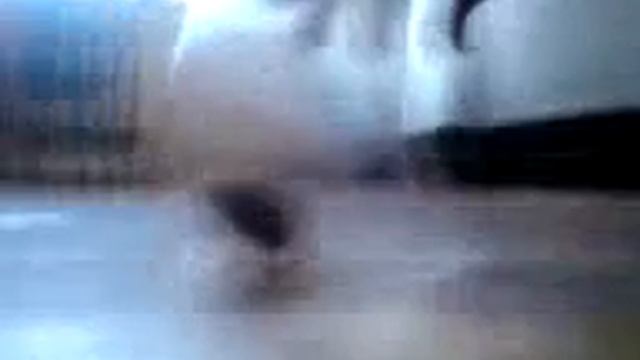 Кафе Эдем кухня Волчиха 2010 смотреть онлайн