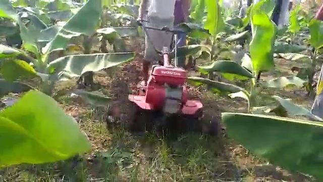 HONDA POWER TILLER FJ500 MULTIPURPOSE USING смотреть онлайн