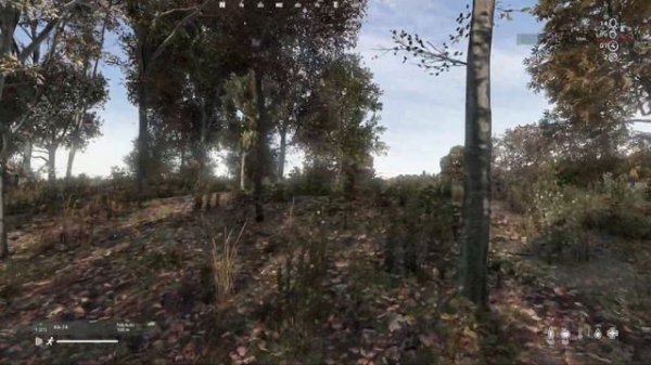 DayZ - Vigrid Battle Royale