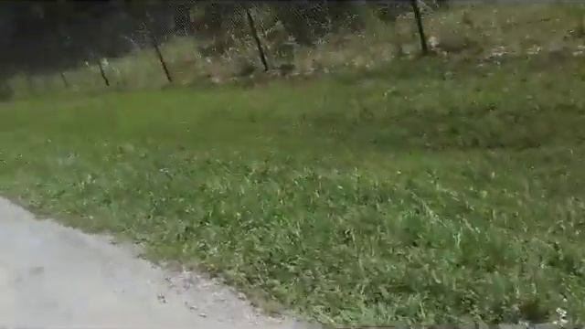Exploring the mysterious road. Part 3 of 1 hour woods challenge смотреть онлайн