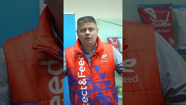 Как выбрать корову? На что обращать внимание при покупке нетелей? смотреть онлайн