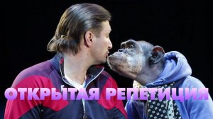 Открытая репетиция в Большой Московском цирке (22.10.2020)