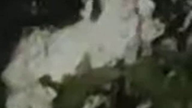 Утро улиток снято на другой телефон УЛИТКА СЛОМАЛАСЬ смотреть онлайн