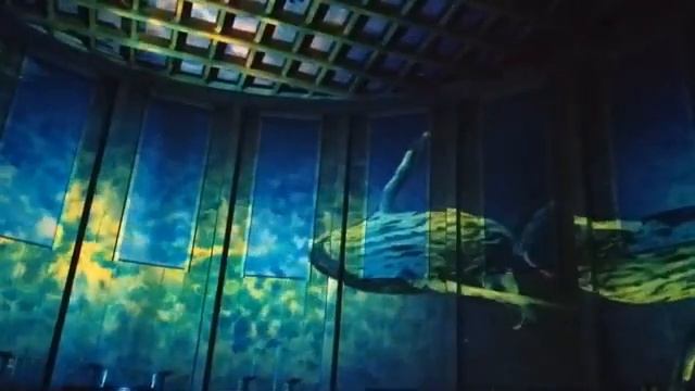 Шоу цвета, мыслей и благодарности смотреть онлайн