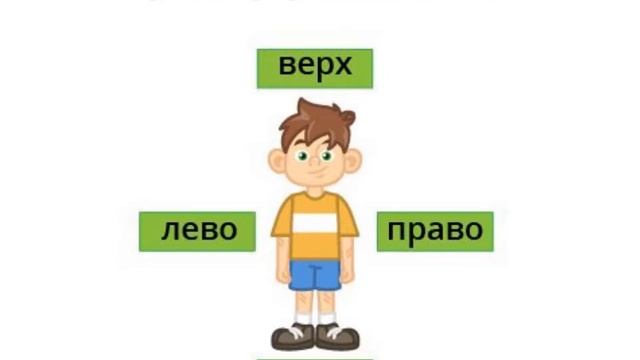 Человек Который Путает Стороны Человек Который Путает Стороны