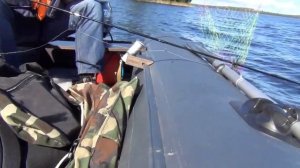 Парсун ТоЯма 9,8 и НДНД Альтаир на Вуоксе