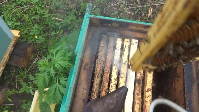 РОЙ смотреть онлайн