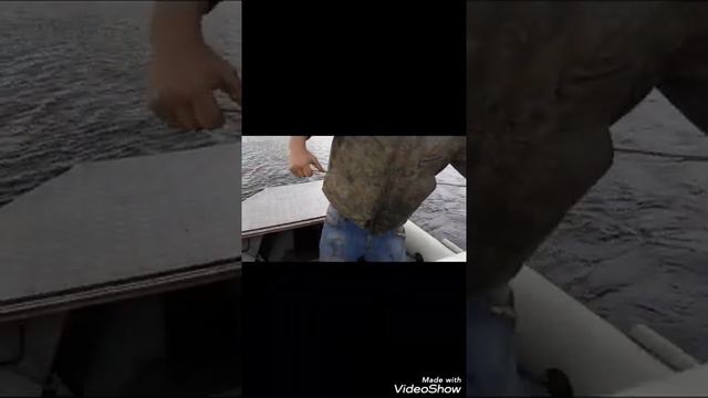 Первая проверка после запрета. смотреть онлайн