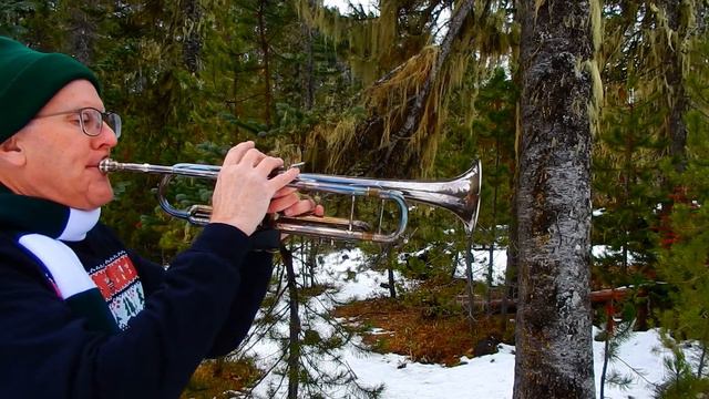Shchedryk (Carol of the Bells) Christmas Music Video - Neil Wilson, trumpets смотреть онлайн