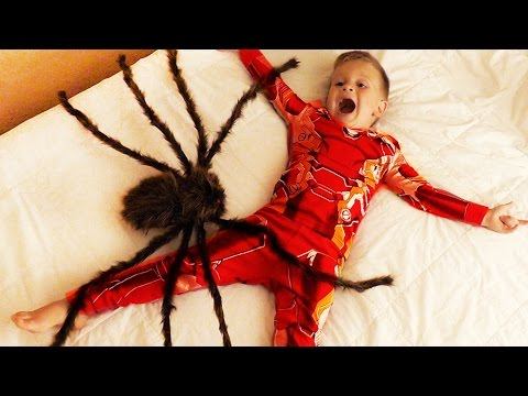 ★ ГИГАНТСКИЙ ПАУК напал на Детей GIANT SPIDERS ATTACK Щенячий Патруль PAW Patrol Game Video For Kids