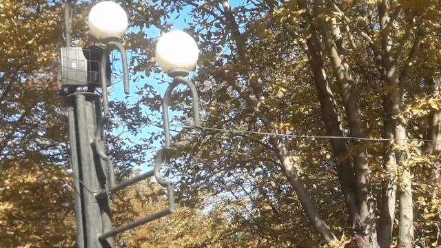 Кривой Рог Вальс звучит в осеннем Кривой Рог смотреть онлайн