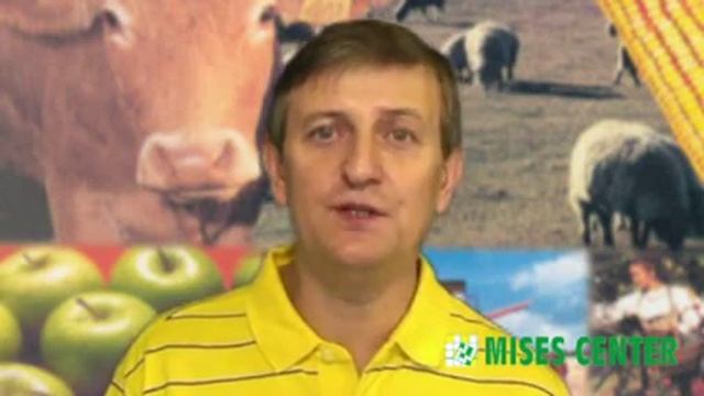 Сельское хозяйство=детский сад исправить свет смотреть онлайн